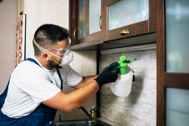 Best Pest Prevention Services  in Chelsea, MA