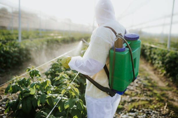 Best Pest Control for Businesses  in Chelsea, MA